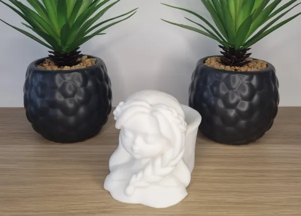 https://makerworld.bblmw.com/makerworld/model/DSM00000000563038/design/2024-07-29_da7fa0a9cc568.jpg