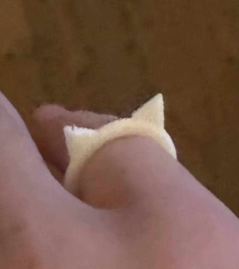 Cat ear ring 