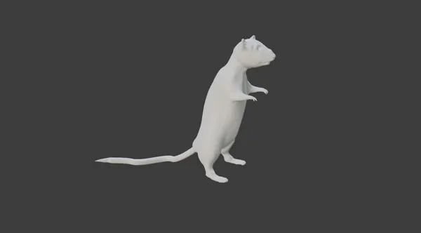 https://makerworld.bblmw.com/makerworld/model/DSM00000000564039/design/2024-07-30_2u50nlgqjyq1.jpg