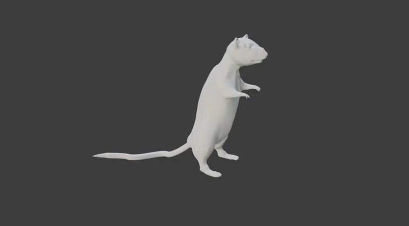 rat