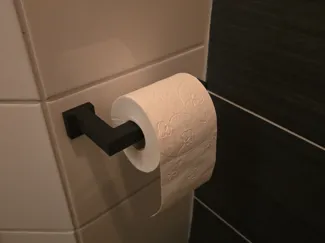 toilet paper holder screw or glue
