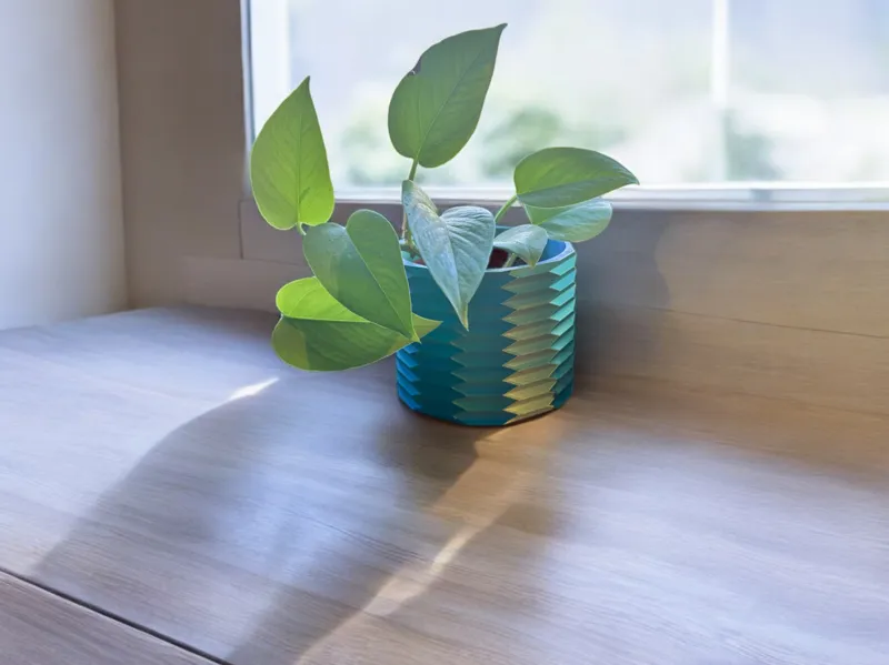 Corrugated pot 