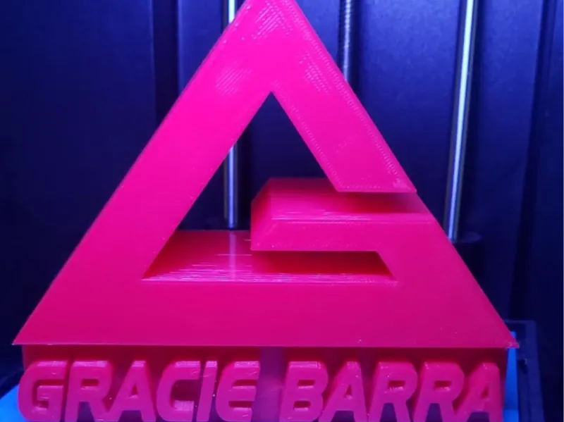gracie barra