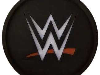 wwe coaster