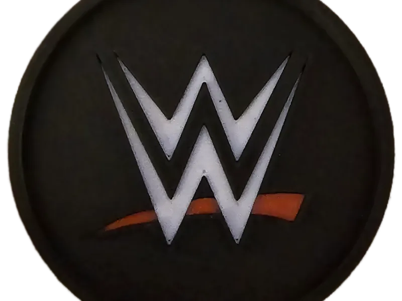 wwe coaster