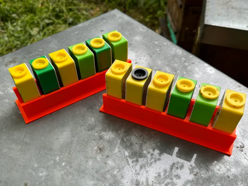 Holder for 6 Queen cage for kindergarten ZANDER