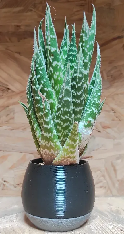 Planter - pot - réservoir d'eau