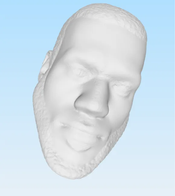 Lebrons James head