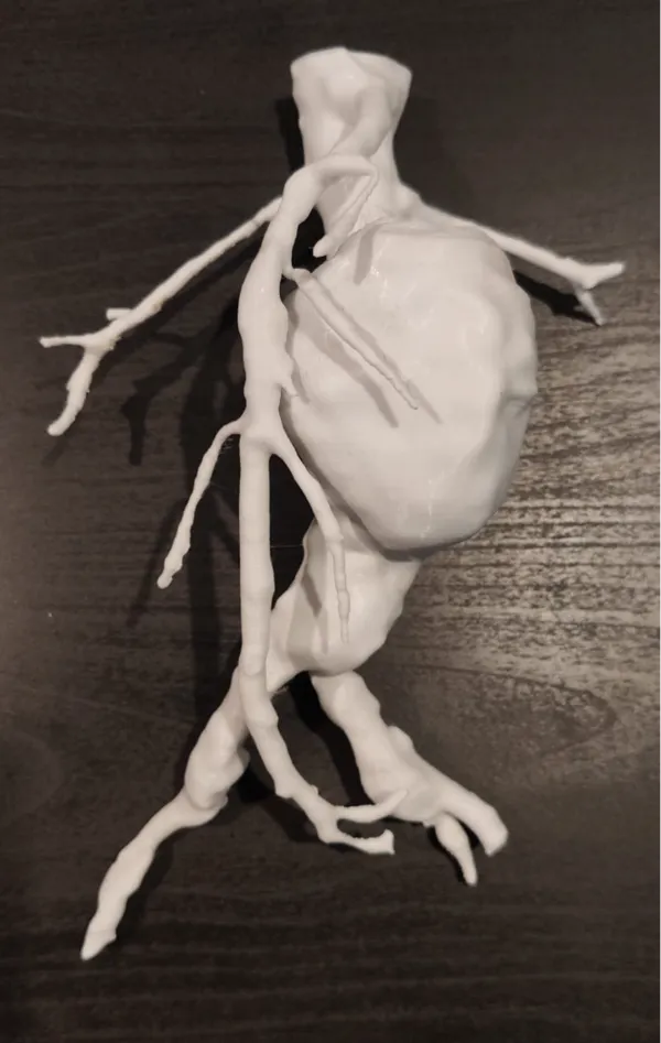 https://makerworld.bblmw.com/makerworld/model/DSM00000000571411/design/2024-08-04_7226d23c2223e.jpg