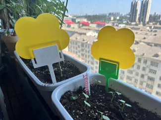 Sticky Fly Trap Holder 小黄板支架