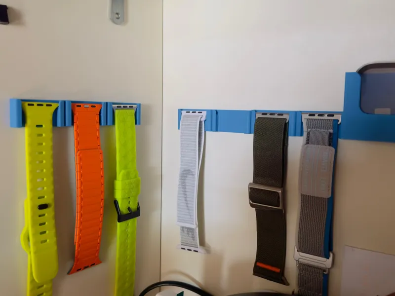 Strap organizer apple