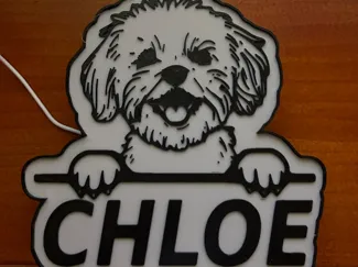 lampara led bichon maltes Chole