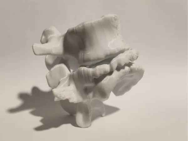https://makerworld.bblmw.com/makerworld/model/DSM00000000573005/design/2024-08-05_19f83ed486ce1.jpg