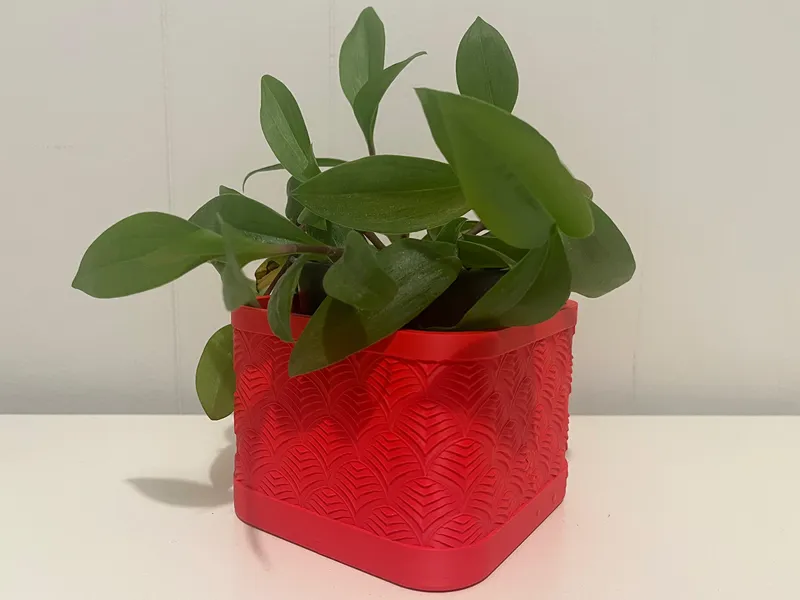 PLANTER
