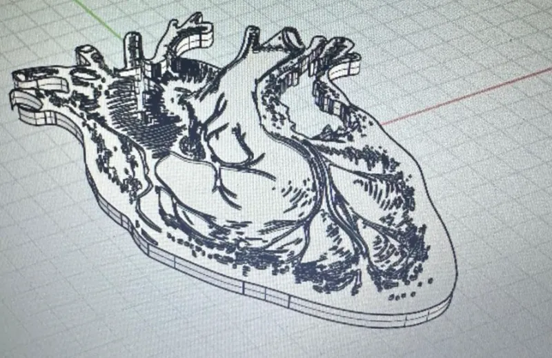 biologic heart