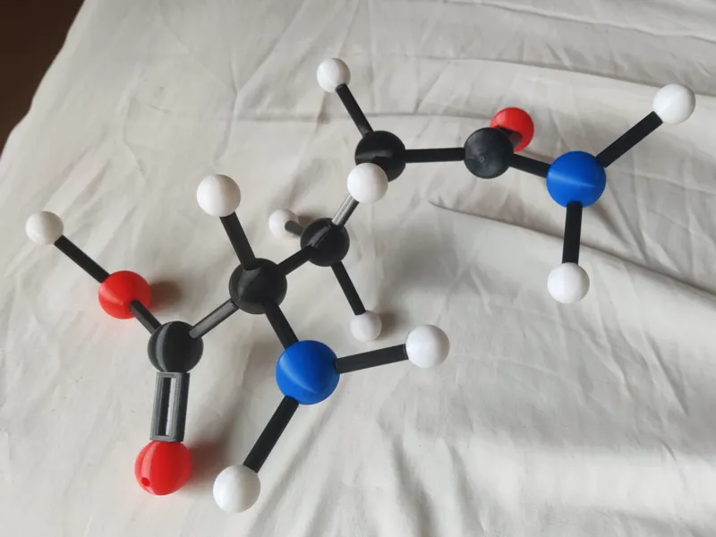 L-Glutamine Model (Amino Acid Build Kit)