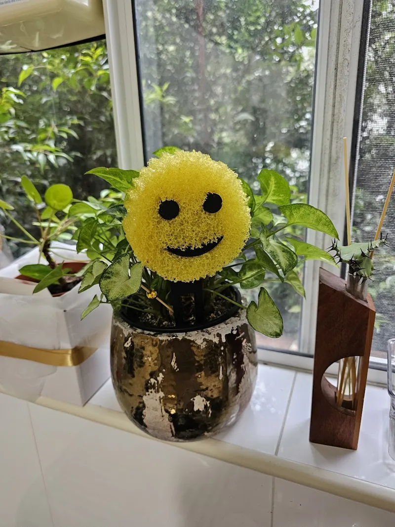 Scrub Daddy Pot Plant Holder