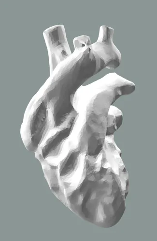 human heart