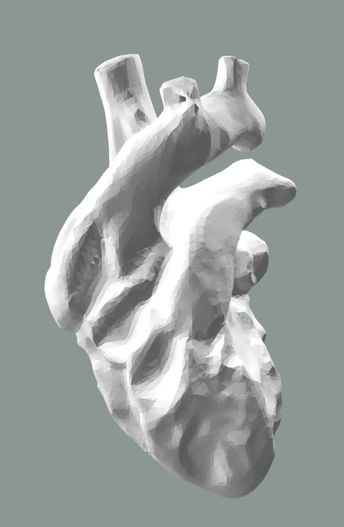 human heart