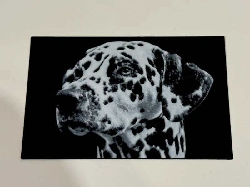 Dalmatian (hueforge)