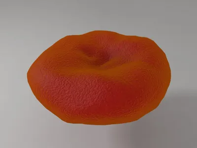 erythrocyte