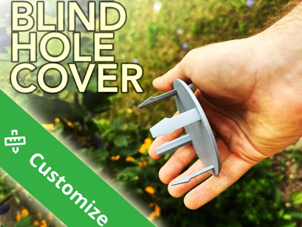 https://makerworld.bblmw.com/makerworld/model/DSM00000000578327/design/2024-08-08_3fae6ac205512.png