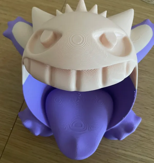 https://makerworld.bblmw.com/makerworld/model/DSM00000000580055/design/2024-08-09_707e16fc60d89.jpg