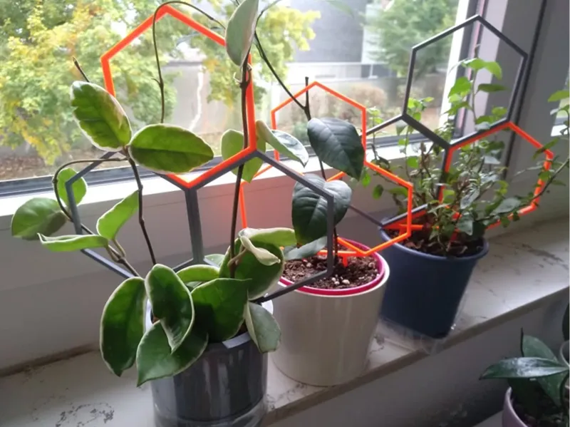[USEFUL] Honeycomb plant support 