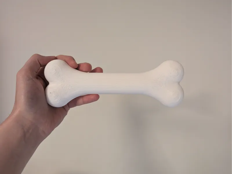 Simple Cartoon Bone