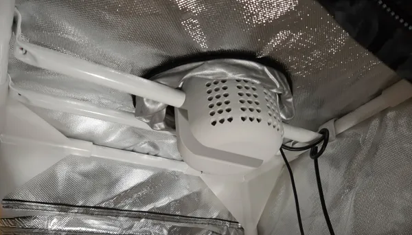 https://makerworld.bblmw.com/makerworld/model/DSM00000000581847/design/2024-08-11_rjurf0cyby21.jpg
