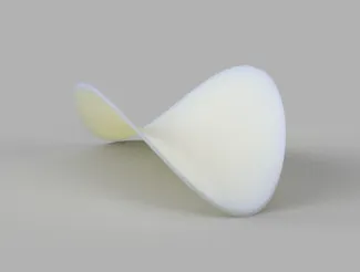 A single Pringle