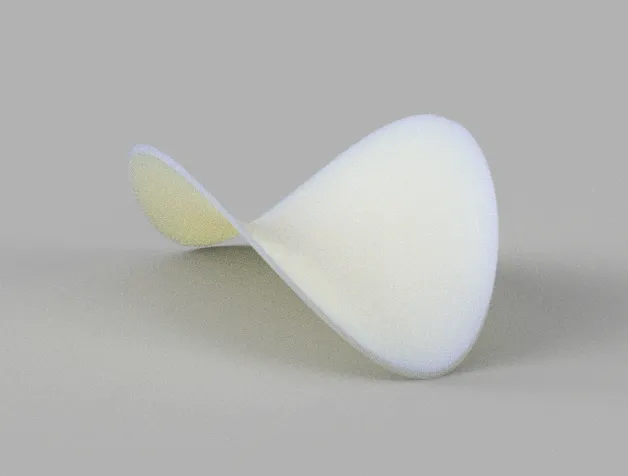 A single Pringle