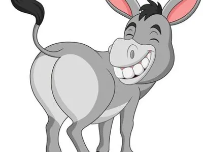 donkey