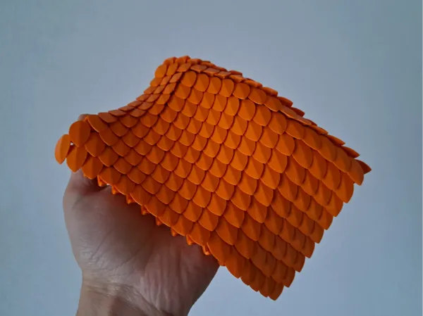 https://makerworld.bblmw.com/makerworld/model/DSM00000000583234/design/2024-08-11_fd559a3c74c73.png