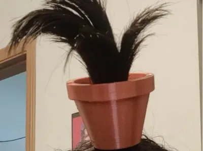 Cute Hair Pot