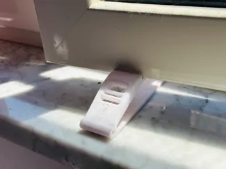 Bracket to prevent cats from getting out
