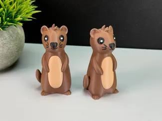 Cute Otter