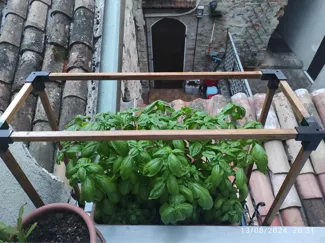 tripod greenhouse frame
