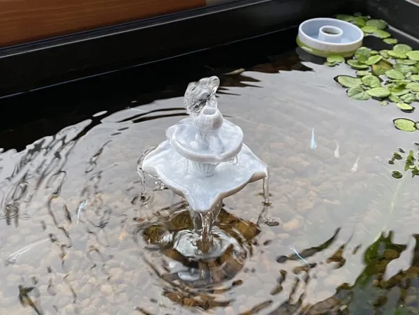 https://makerworld.bblmw.com/makerworld/model/DSM00000000587273/design/2024-08-14_ga1pfubo8err.jpg