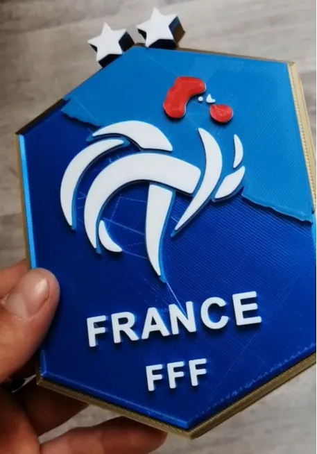 Logo FFF
