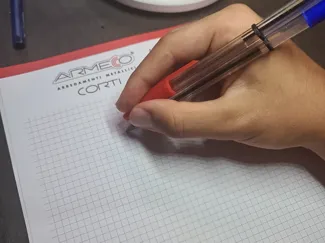 BIC red and blu