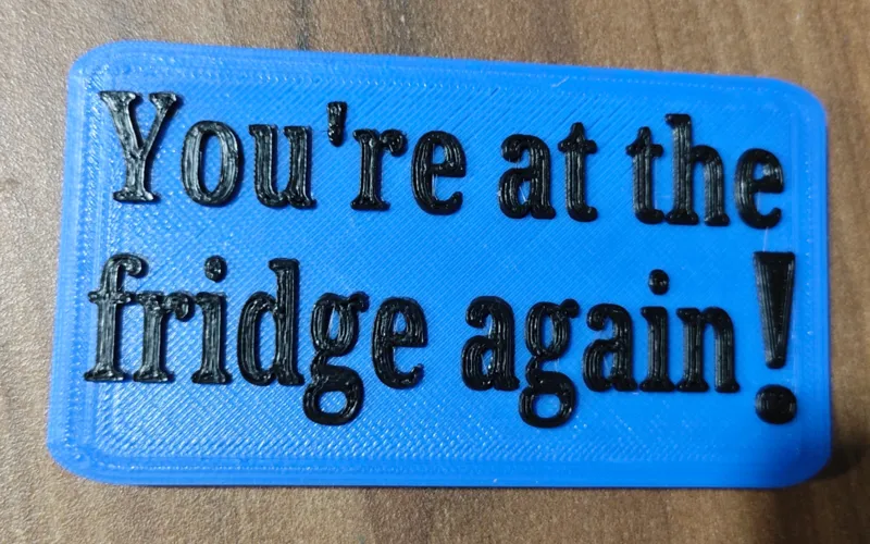 Youre at the fridge again magnet