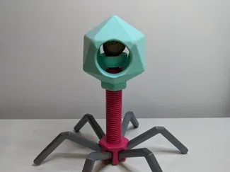 Nutcracker Phage