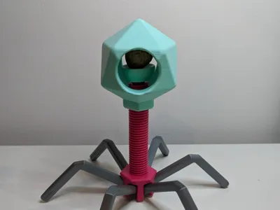 Nutcracker Phage