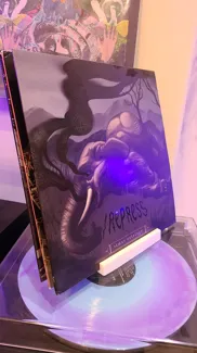 Vinyl Record 3 Slot Display