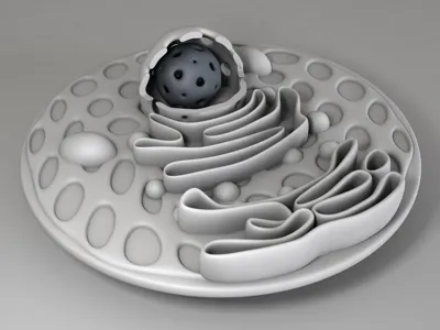 Cell profile