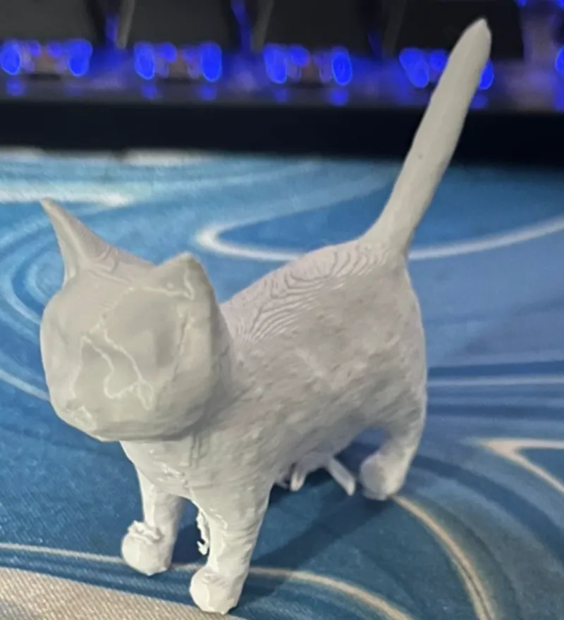 Cute Cat