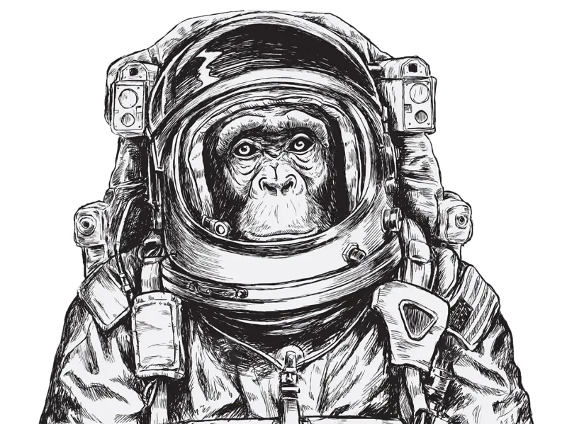 space monkey