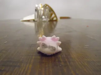 Axolotl V5