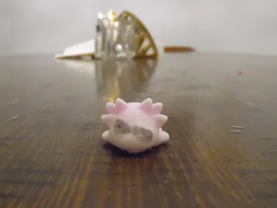 Axolotl V5